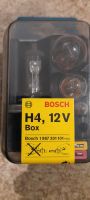 Bosch Lampenbox H4, Oldtimer, Youngtimer, NOS 1987301101 Nordrhein-Westfalen - Overath Vorschau