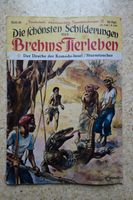 Die schönsten Schilderungen aus Brehms Tierleben, vintage Frankfurt am Main - Nieder-Eschbach Vorschau