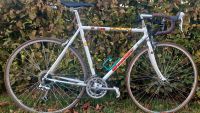 Vintage 1995  Rennrad Diamondback DBR Starway Stahlrahmen  55 cm Bayern - Günzburg Vorschau