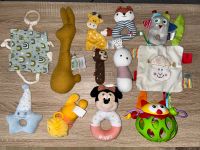 Babyspielzeug Micky Mouse Winnie Pooh Trixie Spiegelburg Sachsen - Schöneck Vorschau