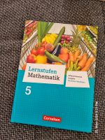 Buch Lernstufen Mathematik 5 - NRW Nordrhein-Westfalen - Brilon Vorschau