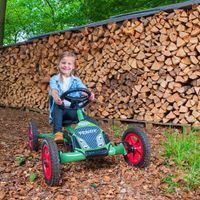 BERG Toys Gokart Buddy Fendt  Angebot Nordrhein-Westfalen - Fröndenberg (Ruhr) Vorschau