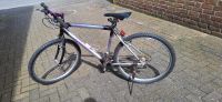 Peugeot Mountainbike 26 Zoll Nordrhein-Westfalen - Gronau (Westfalen) Vorschau