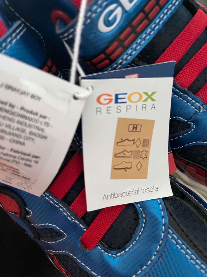 Geox Sportschuhe Gr 38 in Ulm