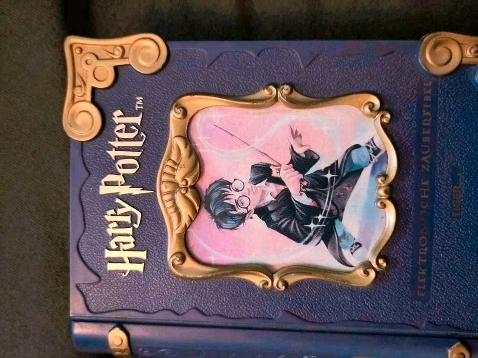 Kindergeburtstag Mitgebsel Hogwarts Harry Potter 26 inkl. Versand in Igersheim