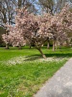 Bauplatz/ Baugrundstück Althengstett und Umgebung Baden-Württemberg - Calw Vorschau