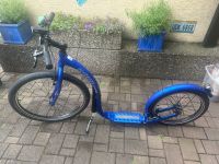 Tretroller Kickbike Rheinland-Pfalz - Ludwigshafen Vorschau