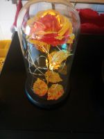 Leuchtende ewige Rose unter Glas Bayern - Aurach Vorschau