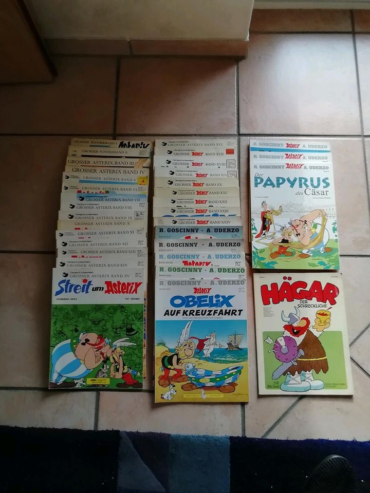 Asterix Sammlung Band 1 bis 31 sowie 35 und 36 und Band 1 Haegar in Duisburg