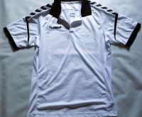 Hummel Poloshirt Dresden - Prohlis-Nord Vorschau