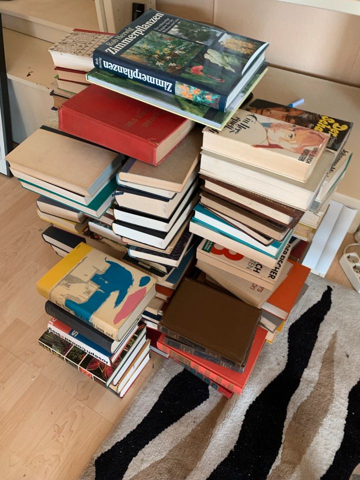 Konvolut Bücher (ca. 100 Stück) Alt in Baunatal