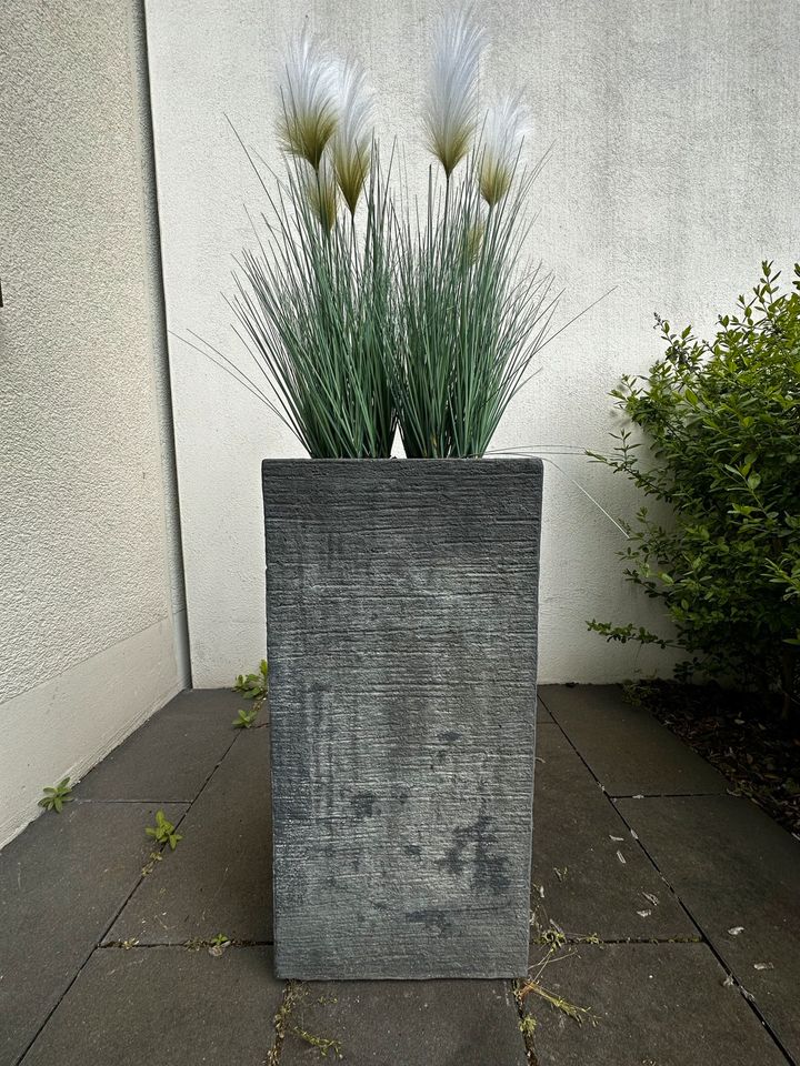 Blumentopf 70cm +mit Pflanze 130 cm in Recklinghausen