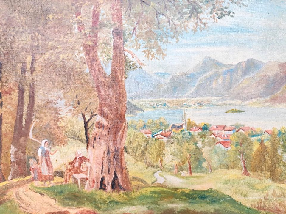 M.Meindl: Blick auf Schliersee in Passau