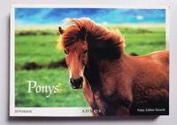 Postkartenbuch Ponys - Set 30 Postkarten Pferde Tier Postcrossing Nordrhein-Westfalen - Hamm Vorschau