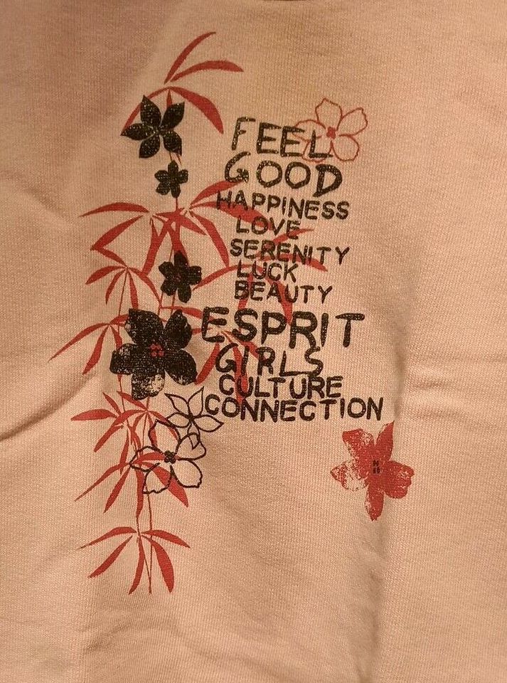 Sweatshirt von ESPRIT in Stötten