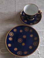 Sammeltasse Porzellan, Teller Kobalt fine China lichte DDR Sachsen - Putzkau Vorschau