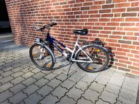 Pegasus Fahrrad, 26 Zoll Jugendrad Damen Niedersachsen - Oldenburg Vorschau