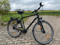 Trekkingrad Fahrrad Kalkhoff Image, kein E-Bike Nordrhein-Westfalen - Hiddenhausen Vorschau