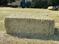 Heuballen / Heu Quaderballen / Pferdeheu / Heu Rundballen Nordrhein-Westfalen - Schwerte Vorschau