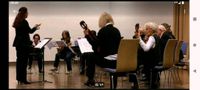 Mandolinenspieler*in für Orchester Neustadt - Hohentor Vorschau