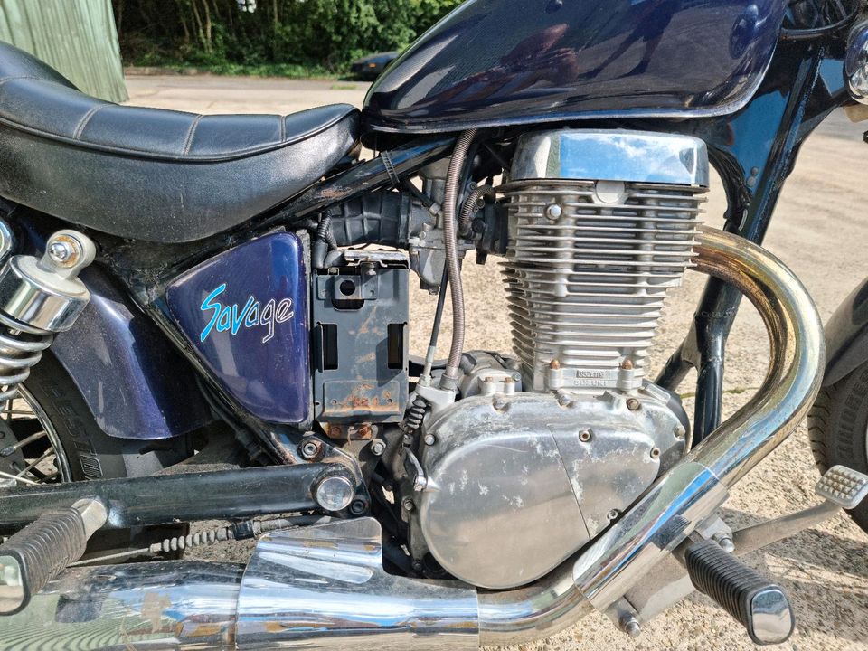 Suzuki Savage LS 650 in Affalterbach  