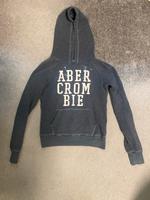 Abercrombie Kapuzenpullover in blau-grau abzugeben Leipzig - Probstheida Vorschau
