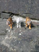 Schleich Tiere Drei Tiger Wildtiere Nordrhein-Westfalen - Gummersbach Vorschau