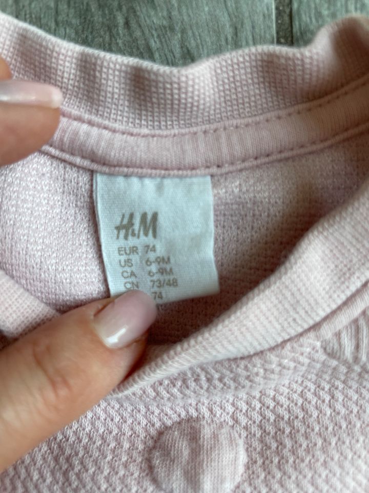 Pullover von H&M Größe 74 in Gladenbach