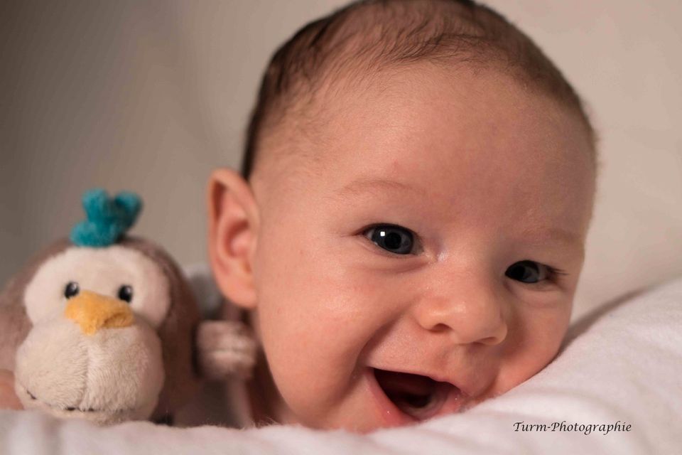 Hobbyfotograf für Portrait, Studio, Feiern, Pferde, Feiern in Dresden