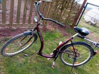 Tiefeinsteiger Fahrrad 28 Zoll Rheinland-Pfalz - Weinsheim Vorschau