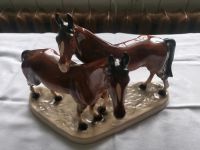 Porzellan Pferde von Hertwig Thüringen - Stadtroda Vorschau