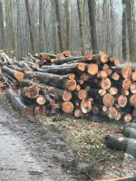 Stammholz Polterholz Buche Polter Baden-Württemberg - Heidelberg Vorschau