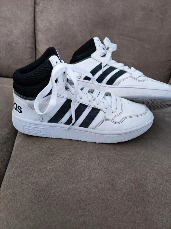 Adidas Hoops Classic Turnschuh in Urbach