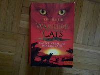 Warrior Cats - Das Schicksal des Wolkenclans Hessen - Steffenberg Vorschau