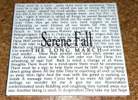 Serene Fall - The Long March (CD, Album, Punk) Niedersachsen - Bad Münder am Deister Vorschau