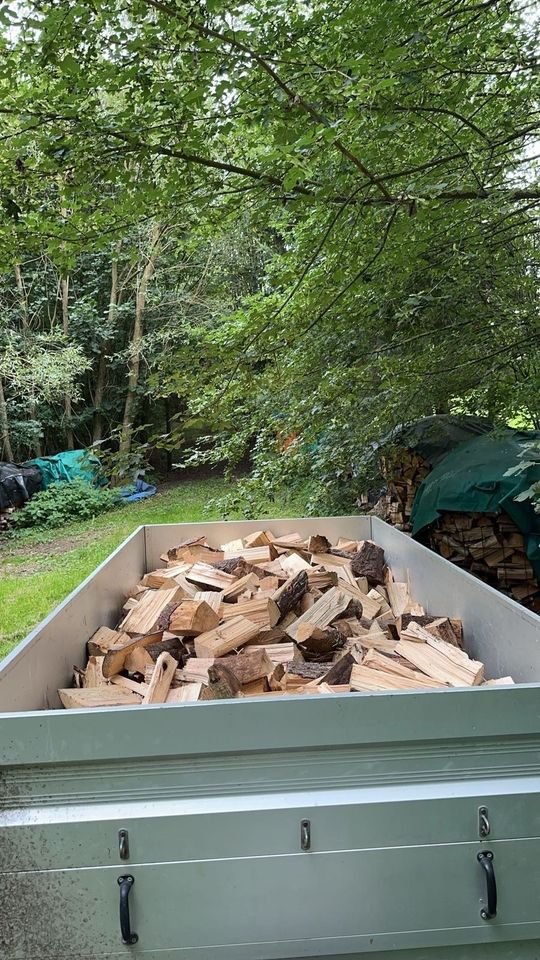 Ofen fertiges Brennholz in Worpswede