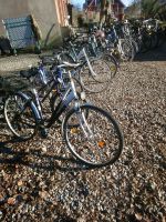 Letzte Chance! Fahrräder, Konvolut für Bastler, gebraucht! 12 St. Schleswig-Holstein - Bosau Vorschau