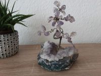 Amethyst Baum auf einer Amethyst-Stufe Nordrhein-Westfalen - Herford Vorschau