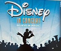 Zwei Konzertkarten Disney in Concert in Hannover Hannover - Ricklingen Vorschau