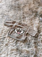 Baby Pullover für 3 bis 6 Monate Größe 68 Hessen - Immenhausen Vorschau