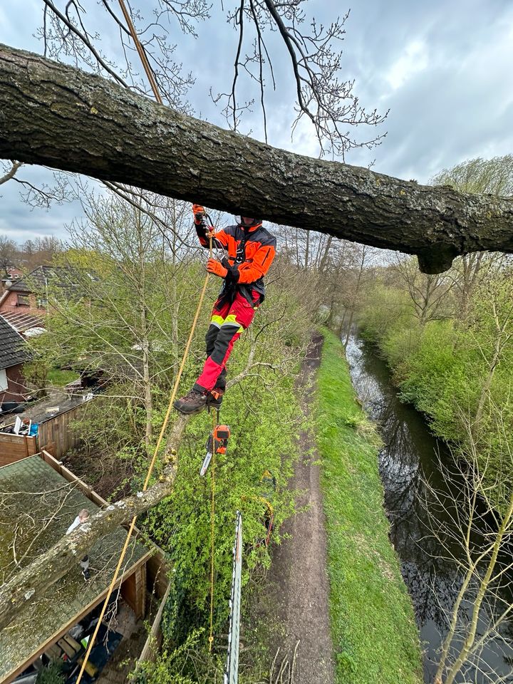 ⚠️Baumpflege,Hubsteiger,Seilklettertechnik⚠️Baumfällung❌, Bagger Sturmschaden Baumschnitt Brennholz vertikutieren in Ellerau 