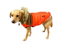 10% Rabatt GF Pet LODGE Parka Hundewintermantel orange XS RL 28 Bayern - Kleinaitingen Vorschau