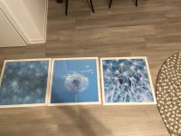 Ikea Bilder 3er Set Pusteblume Deko 50 x 50 Nordrhein-Westfalen - Alsdorf Vorschau