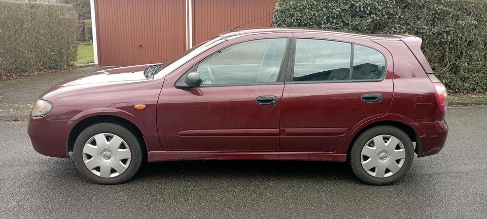 Nissan Almera 1.5 Acenta in Köln