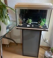 Aquarium Tetra 40l Baden-Württemberg - Weil der Stadt Vorschau