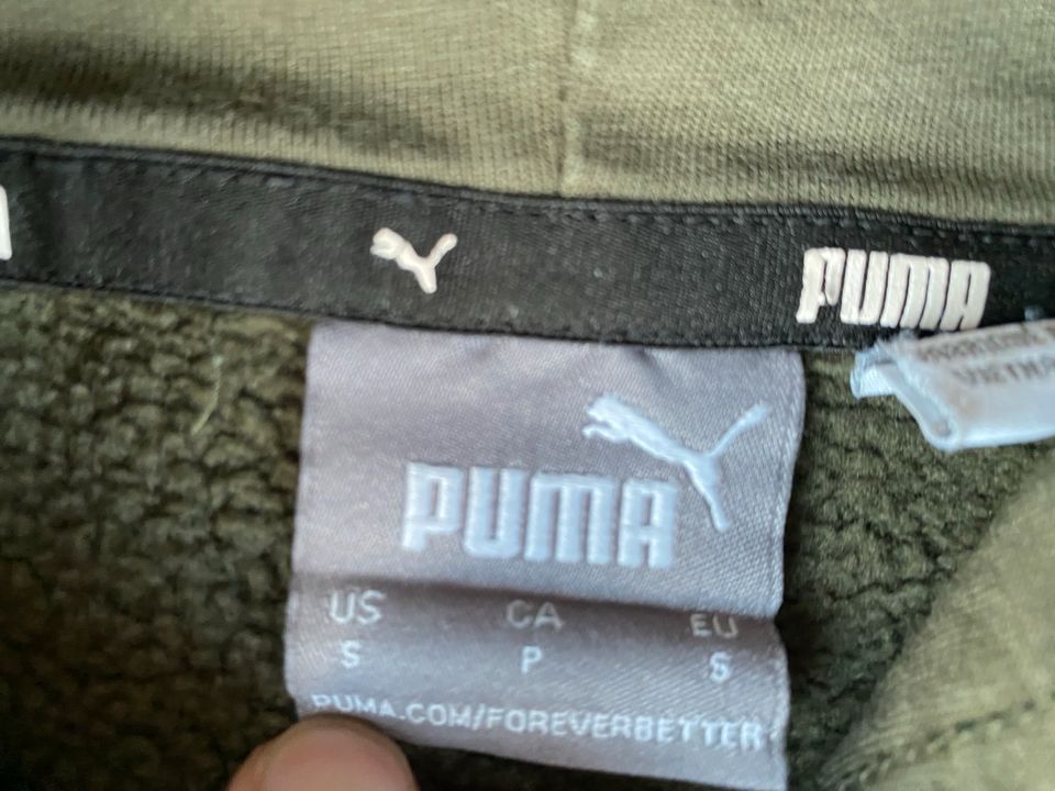 Puma Hoodie Pullover Sweatshirt Khaki weiß S in Attendorn