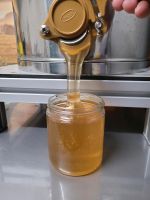 Frischer Honig aus der Region Nordrhein-Westfalen - Minden Vorschau
