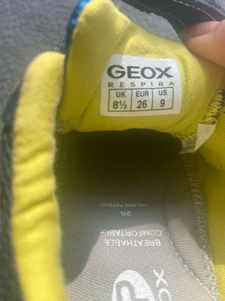 Geox Kinderschuhe Sneaker Gr 26 in Bad Oeynhausen