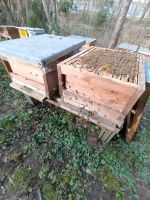 Bienenvölker Zander Bienen Imkerei Bayern - Fürth Vorschau