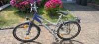 Damen Fahrrad Cityrad Firebird 26 Zoll, 18 Gänge Saarland - Völklingen Vorschau